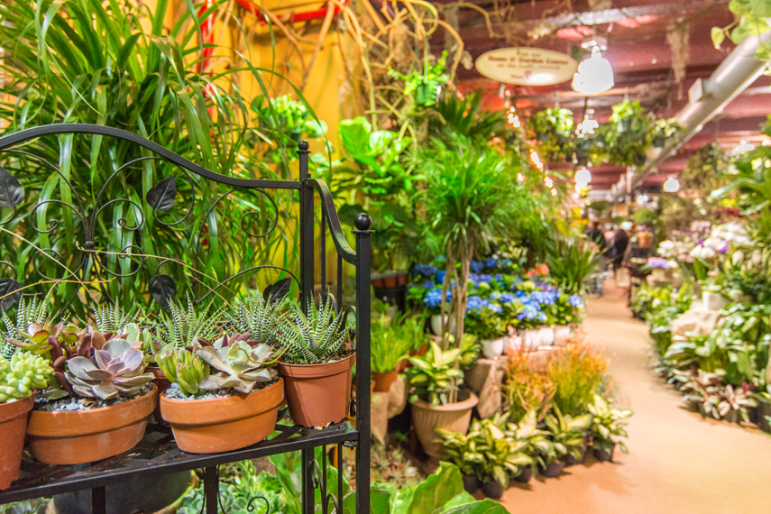 Home Manhattan Sideways